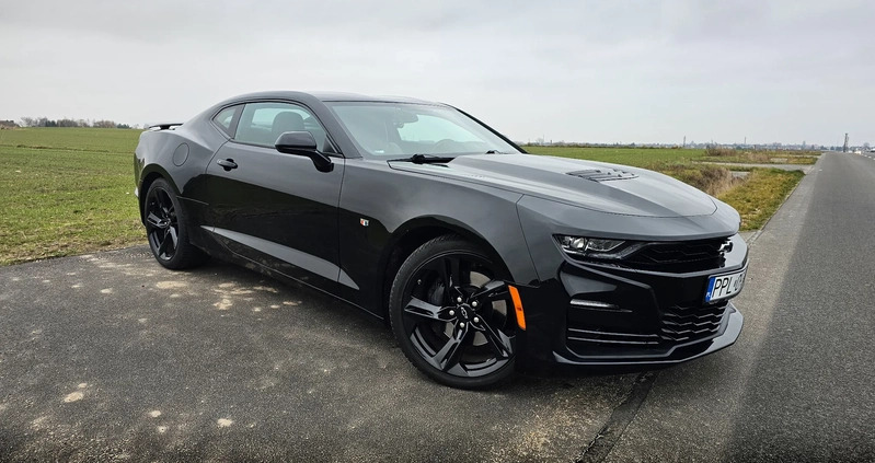 pleszew Chevrolet Camaro cena 194900 przebieg: 59500, rok produkcji 2020 z Pleszew